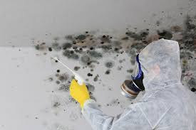 Best Biohazard Mold Removal  in Glen Ellyn, IL